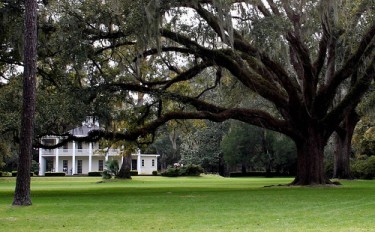 The Eden Gardens State Park in Point Washington, Florida, was donated to the state by Ms. Lois Maxon to showcase her collection of artwork and antiques.