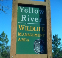 The Yellow River Wildlife Management Area ismap located in Holt, Florida.