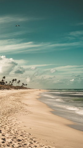 Seagrove Beach, Florida